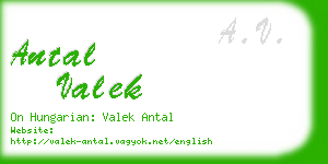 antal valek business card